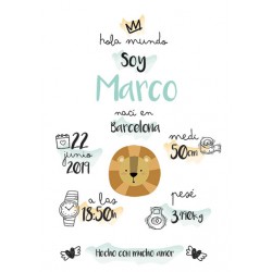 Laminas personalizada lion king