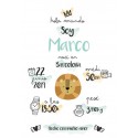 Laminas personalizada nacimiento lion king
