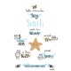 Laminas personalizada nacimiento estrella mar
